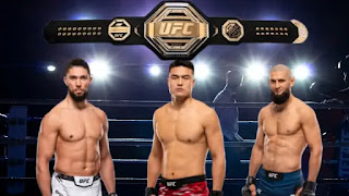 Ultimate Fighting Championship (UFC): Everything You Need to Know in 2025